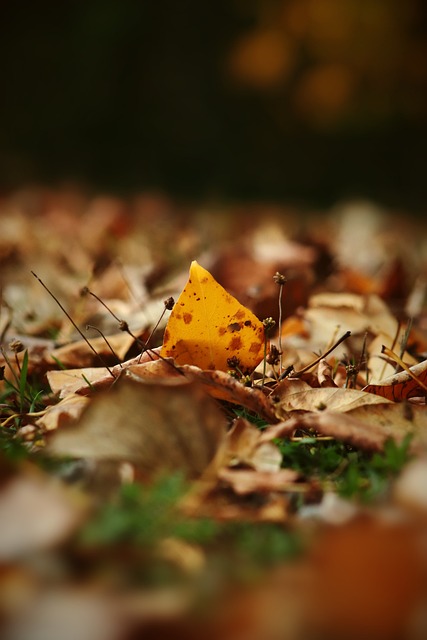 比赛的走向 比赛的走向