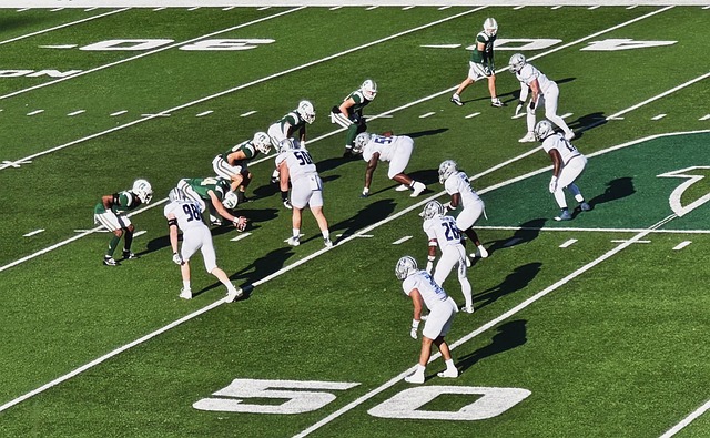 近年来致力 近年来致力