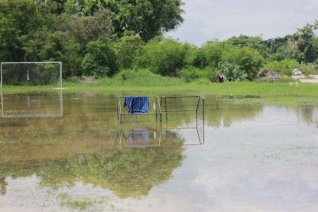 永远是竞技 永远是竞技