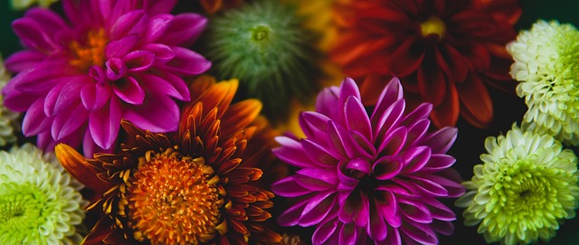 的赛程中有 的赛程中有