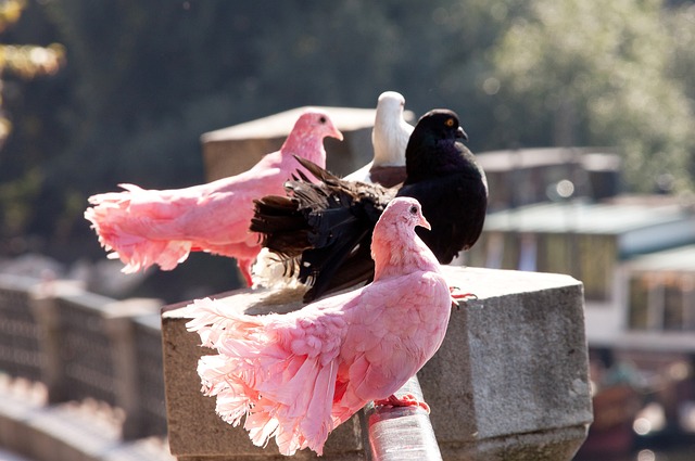 买的彩票 买的彩票