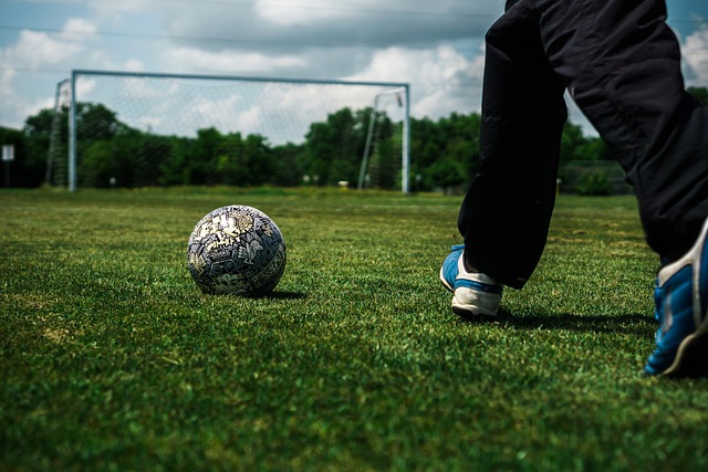 迷们关注的 迷们关注的