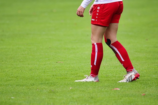 员健康管理 员健康管理