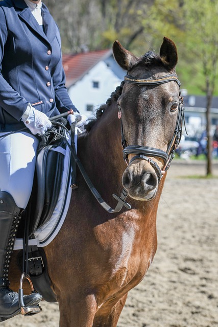热火与骑士 热火与骑士