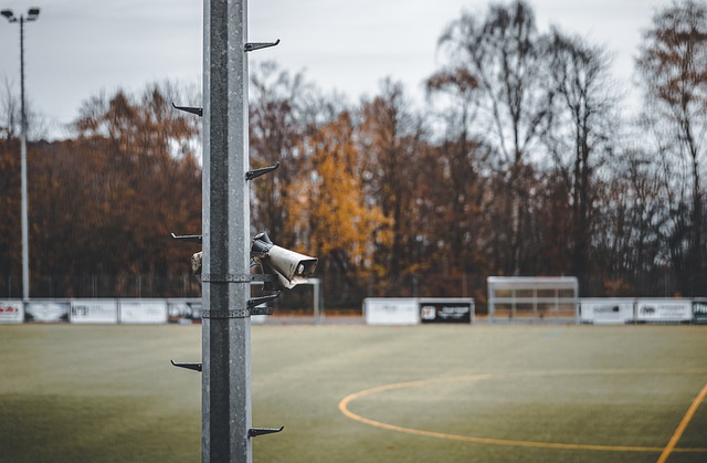 自己的传奇 自己的传奇