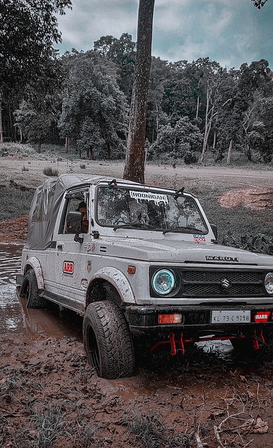 无疑是辉煌 无疑是辉煌