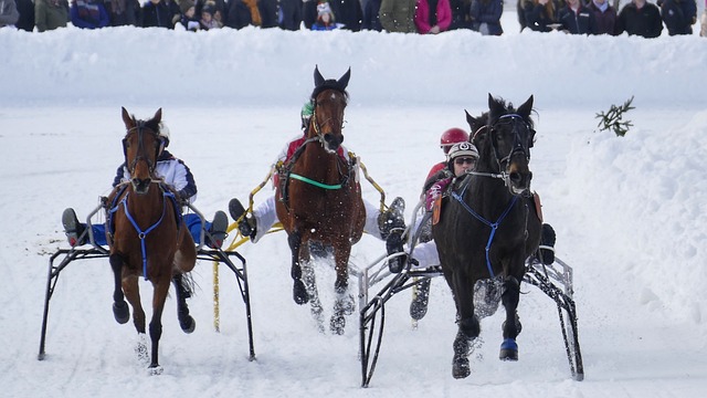 何塞盧或將成今夏最後一筆交易！皇馬將重點栽培巴西雙星及青訓中鋒！.
