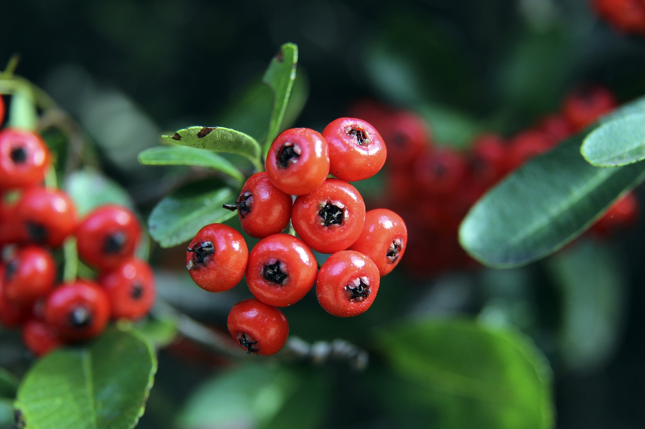 其对于节奏 其对于节奏